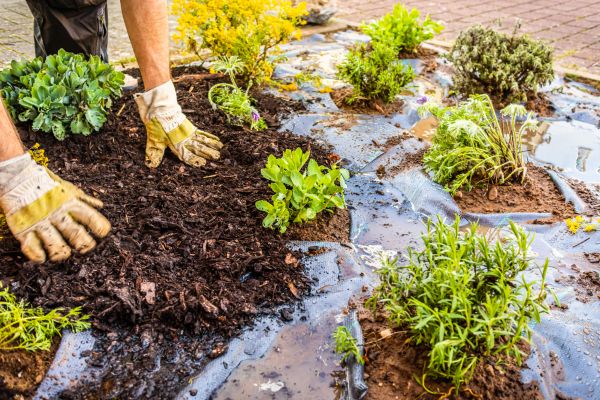 Mulch Fabric Installation in Aurora