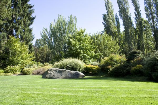 Yard Enlargement in Aurora