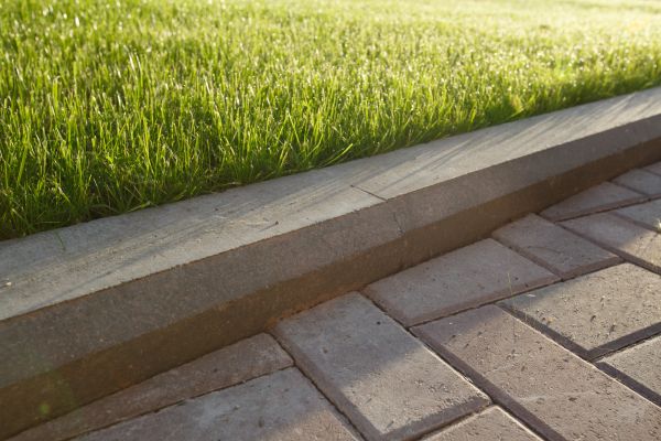 Lawn Edging Replacement in Aurora