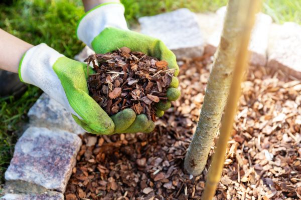Tree Bark Delivery in Aurora