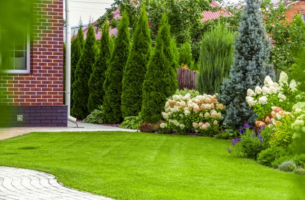 Spring Landscaping in Aurora