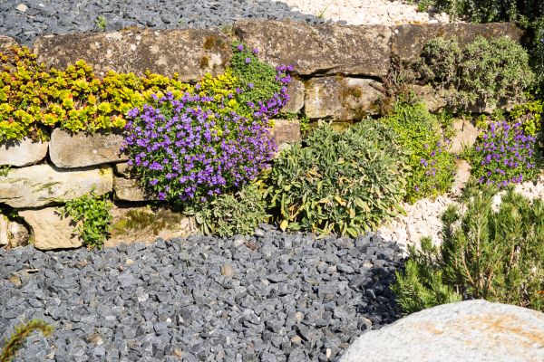 Landscaping Rocks Installation in Aurora