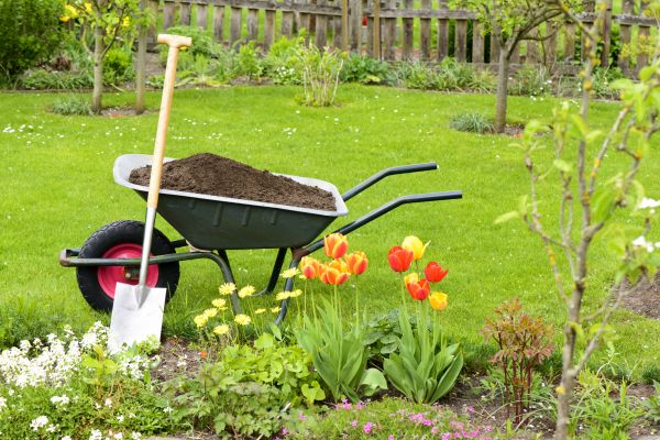 Spring Yard Renovation in Aurora