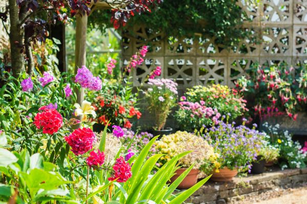 Spring Garden Maintenance in Aurora