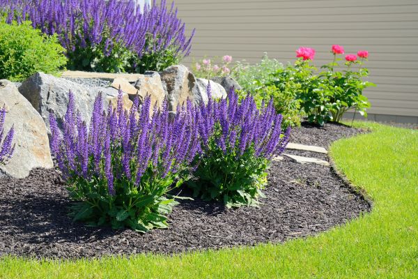Landscape Planting Service in Aurora