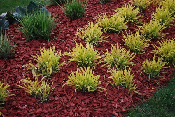 Red Mulch Installation in Aurora