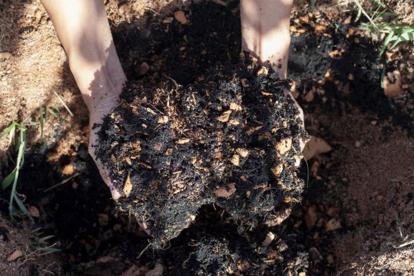 Organic Mulch Installation in Aurora