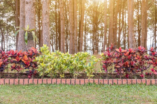 Small Garden Landscaping in Aurora