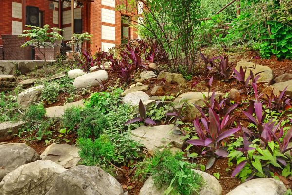 Rock Garden Landscaping in Aurora