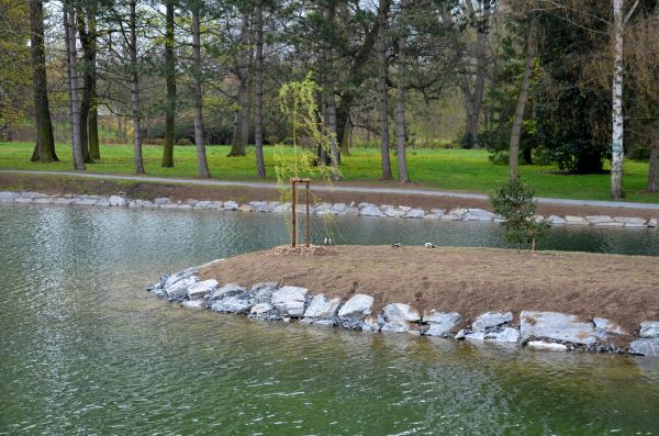 Pond Landscaping Service in Aurora