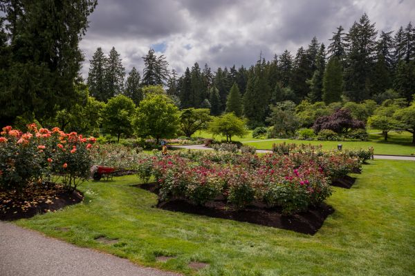 Flower Garden Landscaping in Aurora