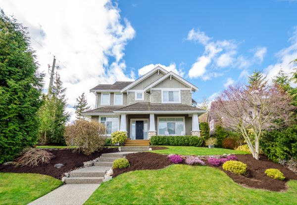 Landscaping Replacement in Aurora
