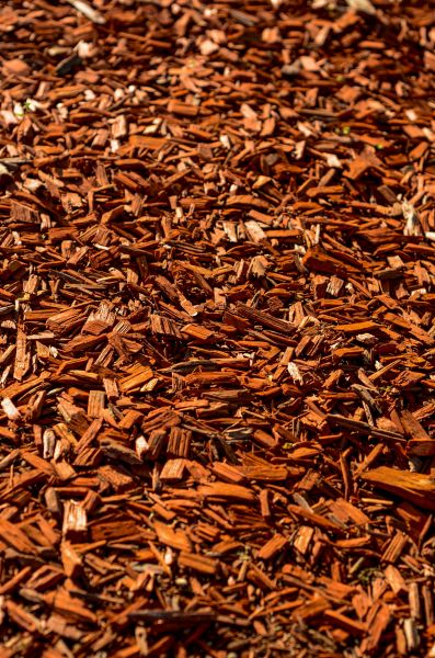 Cedar Mulch Spreading in Aurora