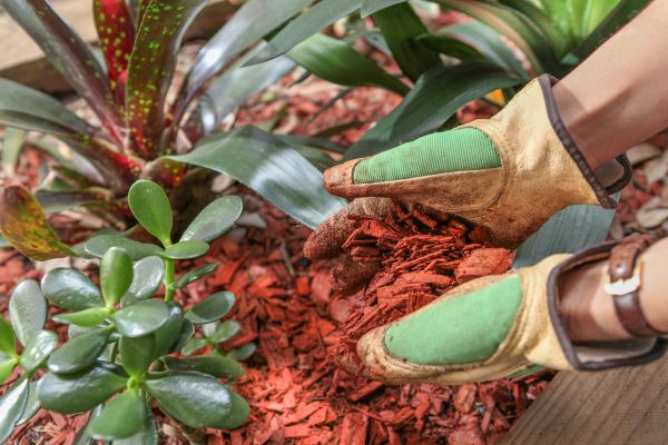 Residential Mulching in Aurora