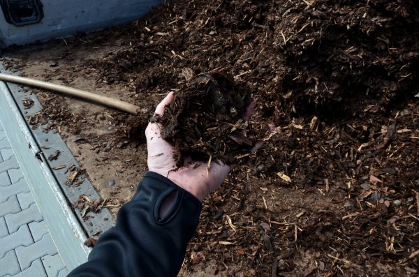 Condo Mulching in Aurora