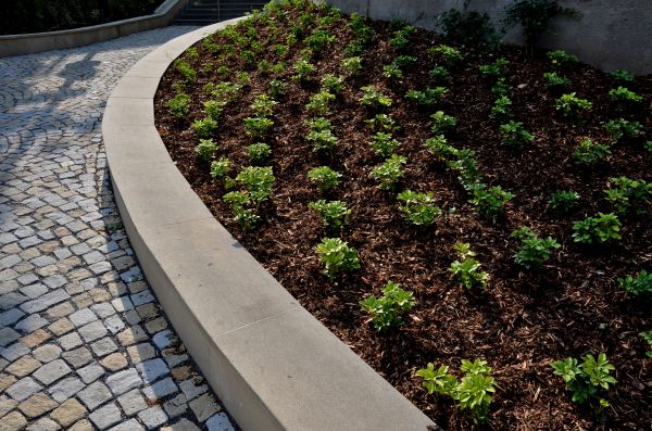Commercial Mulching in Aurora