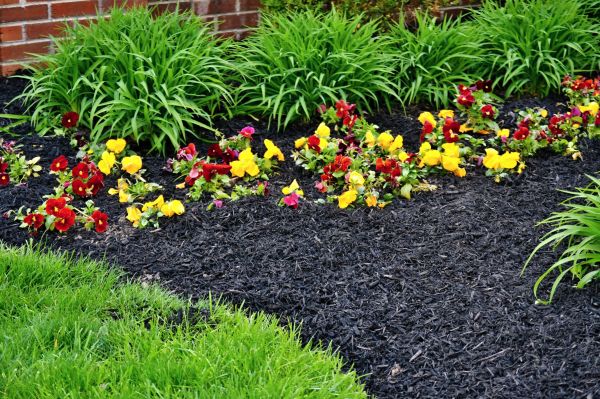 Apartment Mulching in Aurora