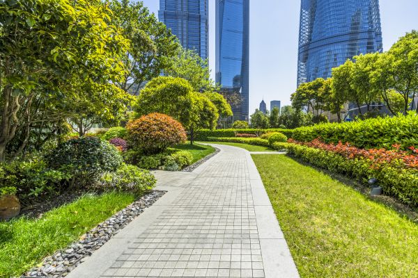 Commercial Landscaping in Aurora
